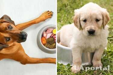 46c12741afb39ce3ae6ce9e46c247afe