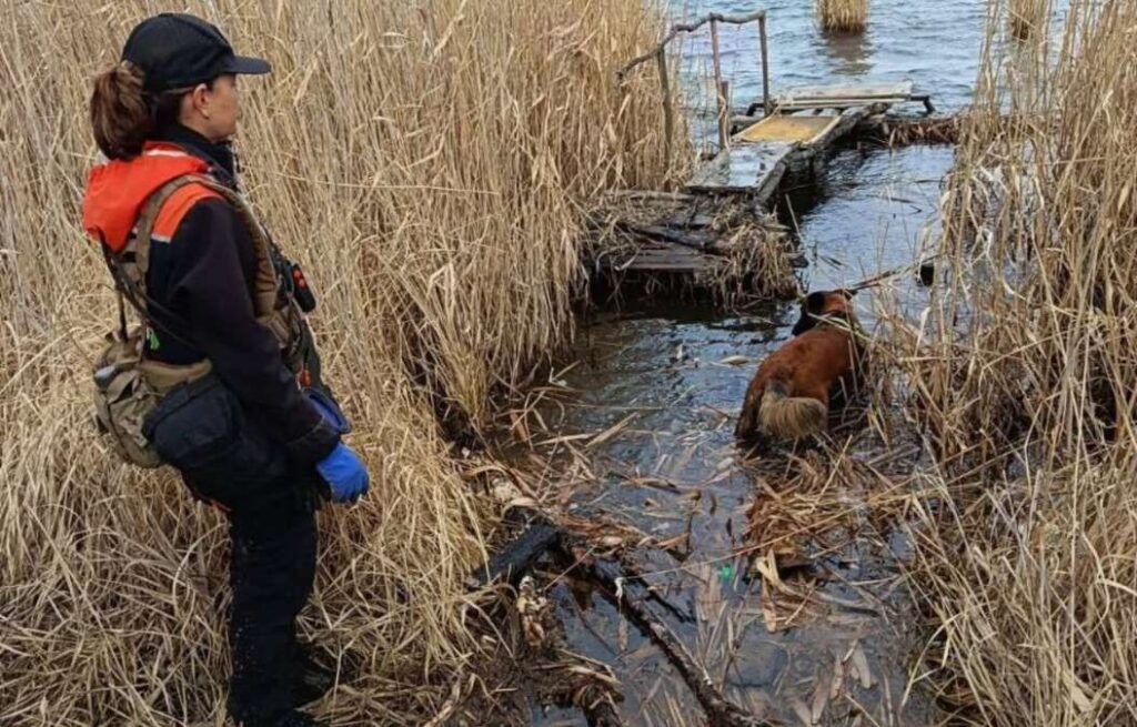 afaf020a495e2bd311046e47844bf99d