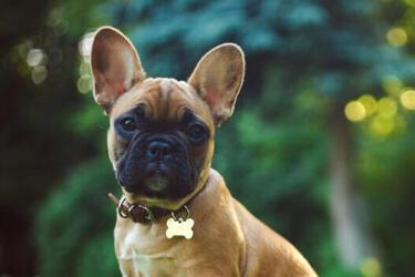 b021d45065c1862d65f4ad93029105ce