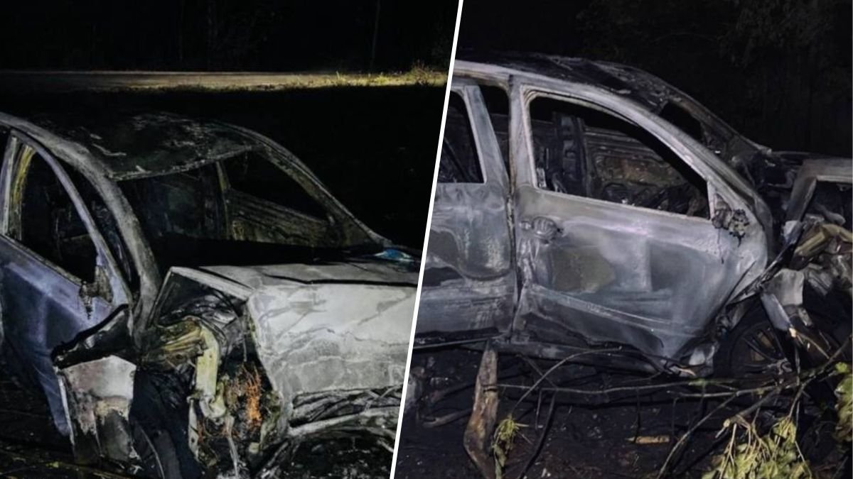 Дніпропетровщина: Авто ТЦК з військовозобов’язаним злетіло в дерево, загорілося – загиблий.