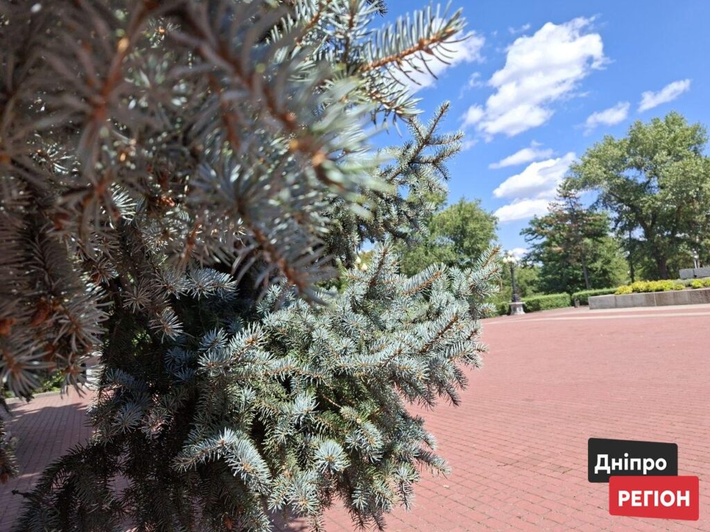 Спека відступила. Прогноз погоди у Дніпрі та області на 17 липня: чого чекати від неба.