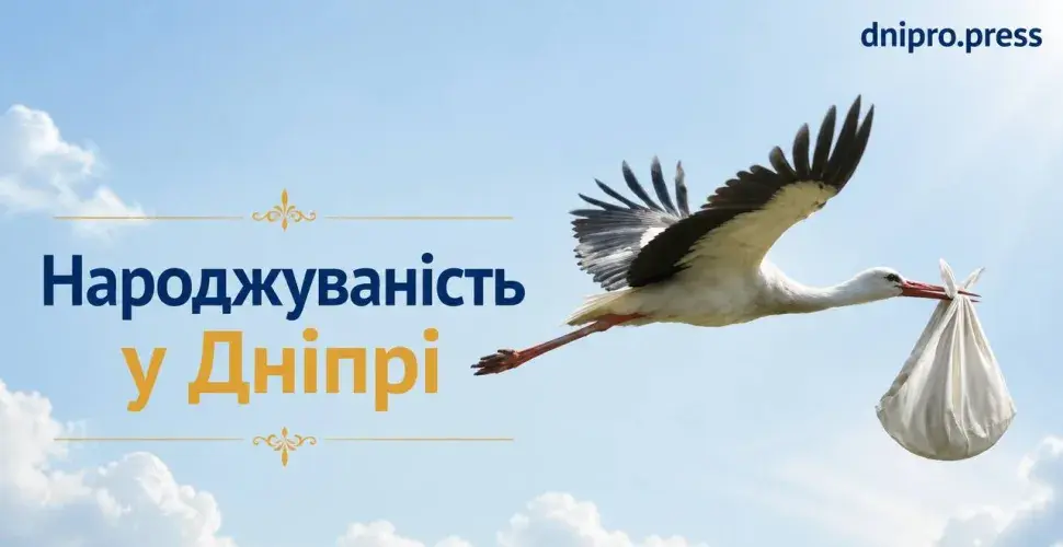 20 малюків за добу у Дніпрі: дивовижний приплід.