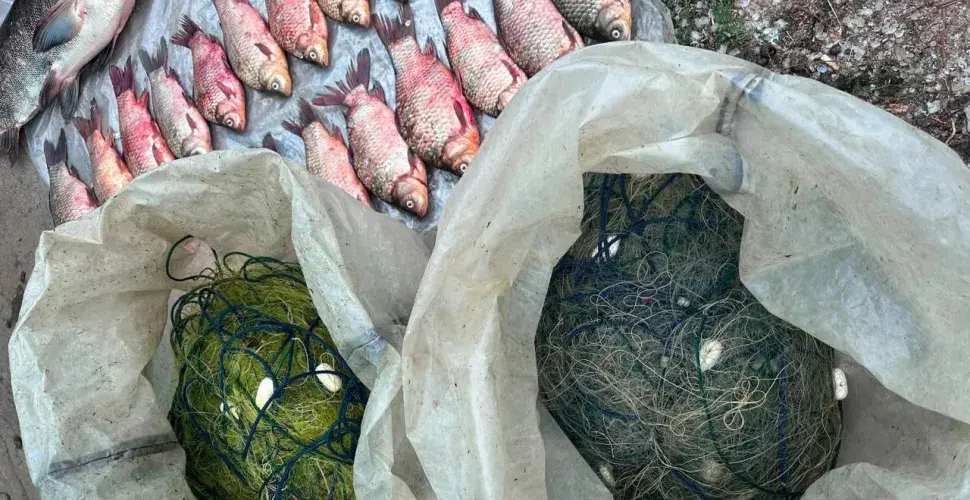 Браконьєрський улов на Дніпровському водосховищі: спіймали рибалок із закидом.