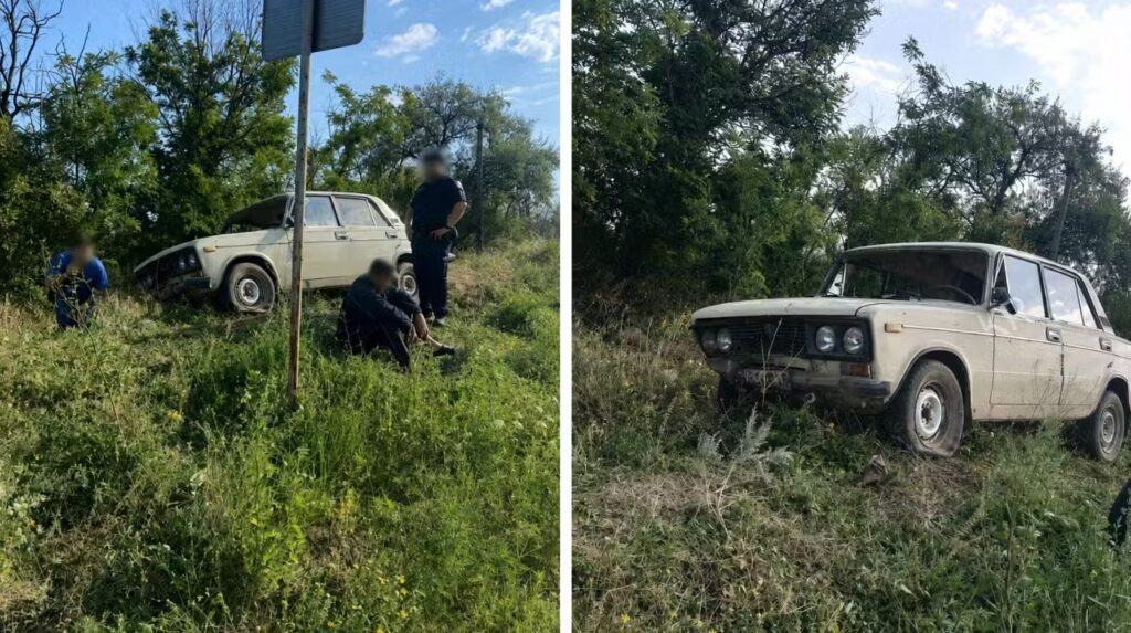 ДТП на Дніпропетровщині: собака за кермом, водій - за ґратами? Розкриваємо правду.