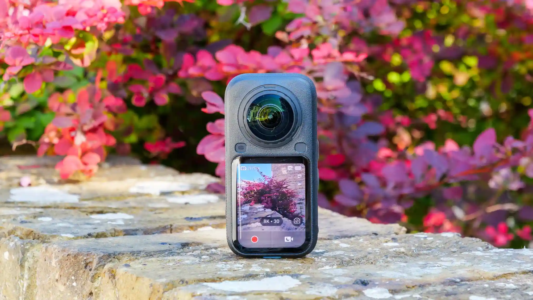 Панорамна камера Insta360 X6 вертикально встановлена на кам'яному парапеті на фоні рожевого чагарника з активним екраном у режимі 8K 30fps